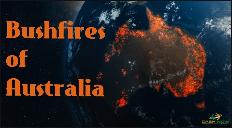 Bushfires of Australia: This is how you can help