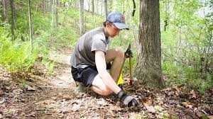 Forestry Planning Services