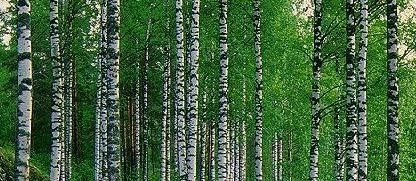 Forest Inventory Analysis