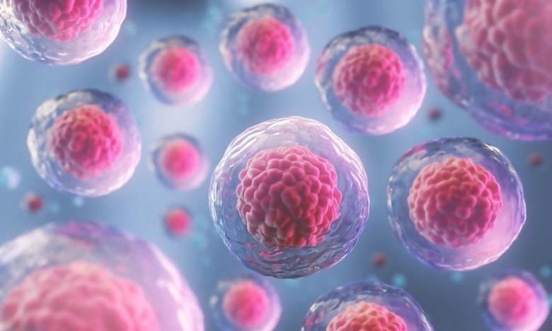 Donor Eggs IVF Services Market