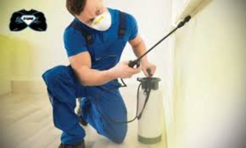 Pesticide spraying company in Riyadh