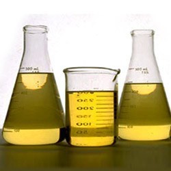 Biodiesel Production in Delhi