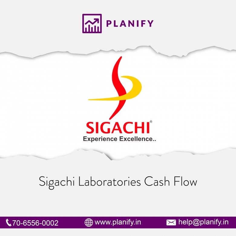 Sigachi Laboratories Cash Flow