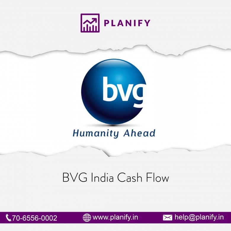 BVG India Cash Flow statements