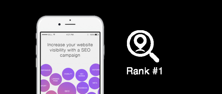 SEO SERVICES  IN USA