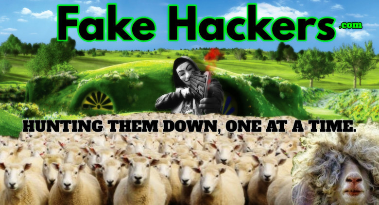 How Many Of You Have Been Scammed Online Before?