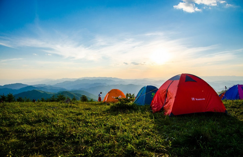 Kasauli Wilderness Camps