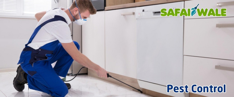Pest Control services