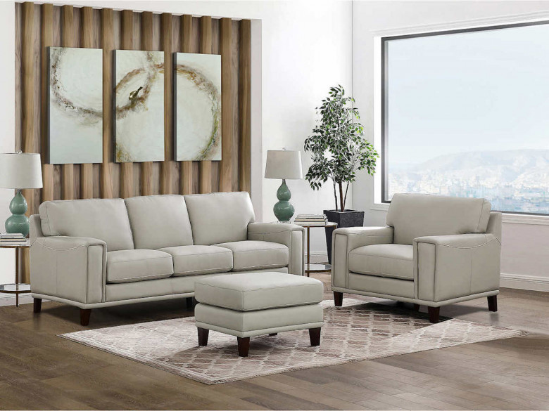 Modern couch set