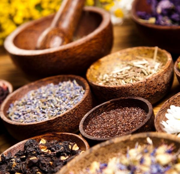 Ingredient Discovery and Intelligence Services