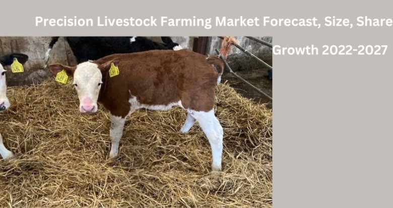 Precision Livestock Farming Market Forecast, share, size, and Growth 2022-2027
