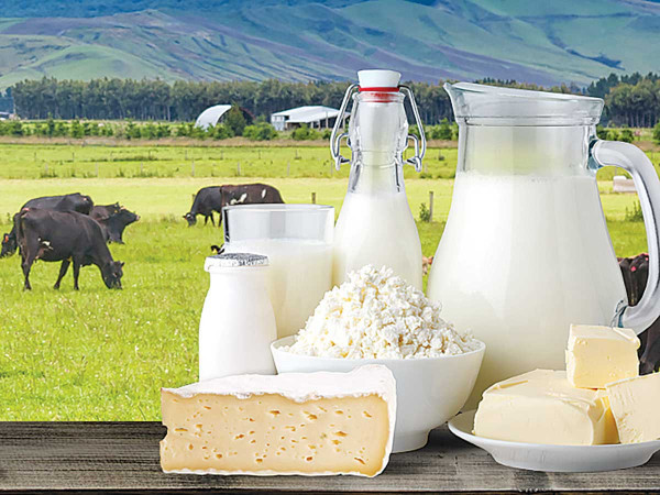 Iraq Dairy Products Market - Forecast(2022 - 2027)