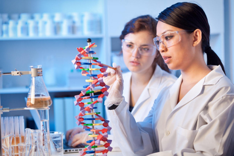 Bioassay Services