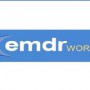 Emdrworks1