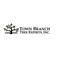 townbranchtreeexpert