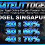 satelittogel