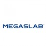 megaslabblog