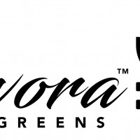EVORAGREENS
