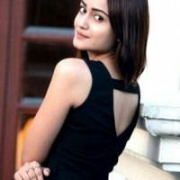 aditiarora3547
