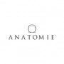anatomie