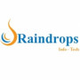 raindropsinfotech13