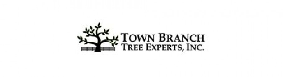 townbranchtreeexpert