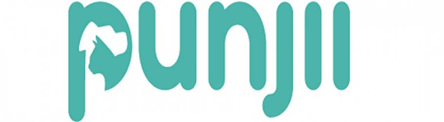 Punjii