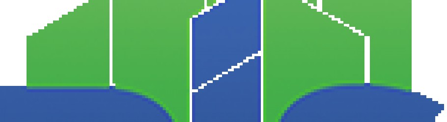 rissafety