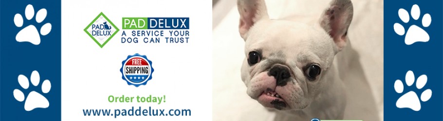 PadDelux