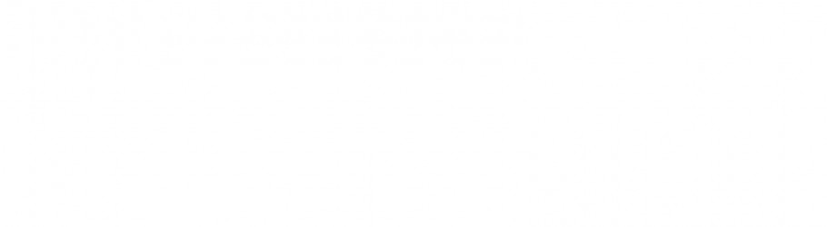 websitedan.com