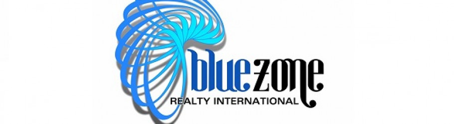 Bluezonerealty