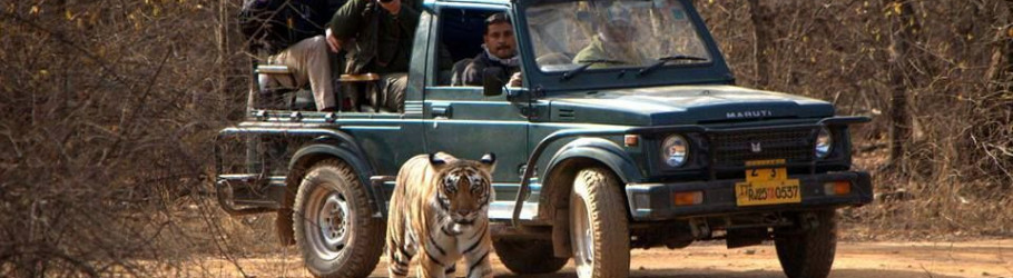 Ranthambhore