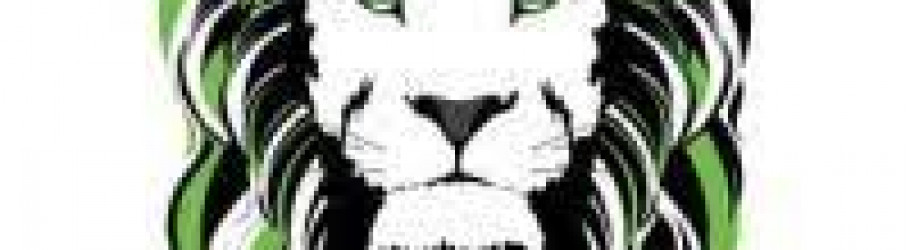 csfxforex