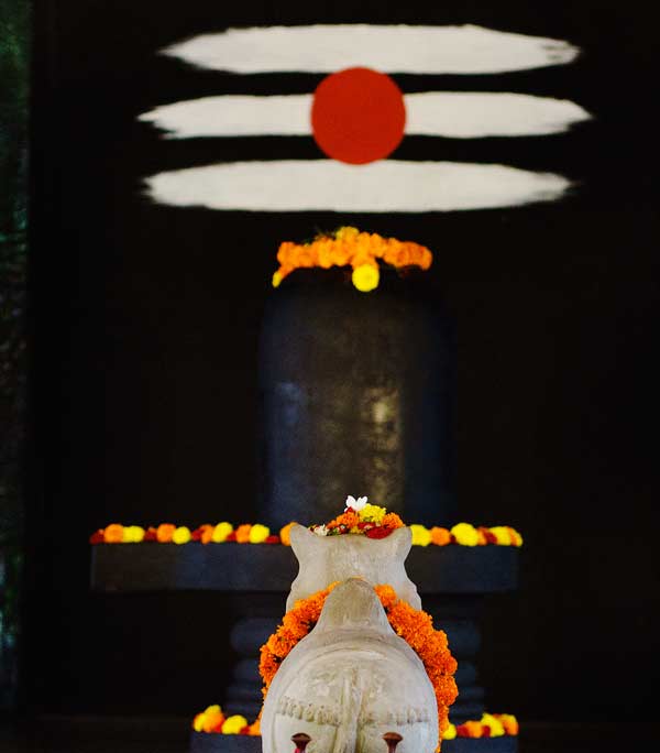 SWAN Yoga Retreat - Yoga Holidays & Retreat India