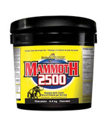 Interactive Nutrition- Mammoth 2500 gainer is best supplement