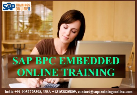 Best Live SAP BPC EMBEDDED Online Training Course by Experts