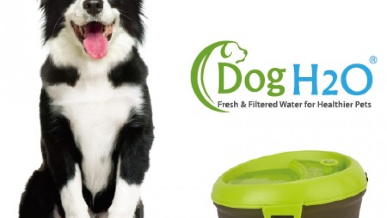 Buy Pet water fountain USA