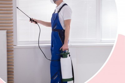 Pest control Services , Pest control Services In Noida, Pest Control In Gurgaon ,Pest  Control Services In Delhi