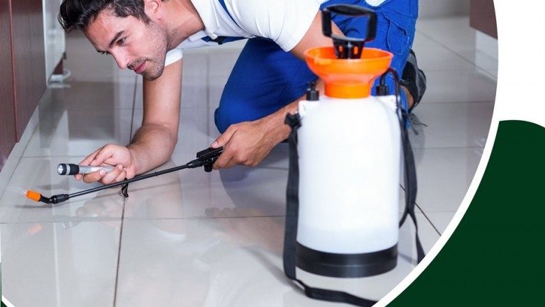 Pest control services In India ,Pest Control Services In Delhi, Pest control Services in Noida