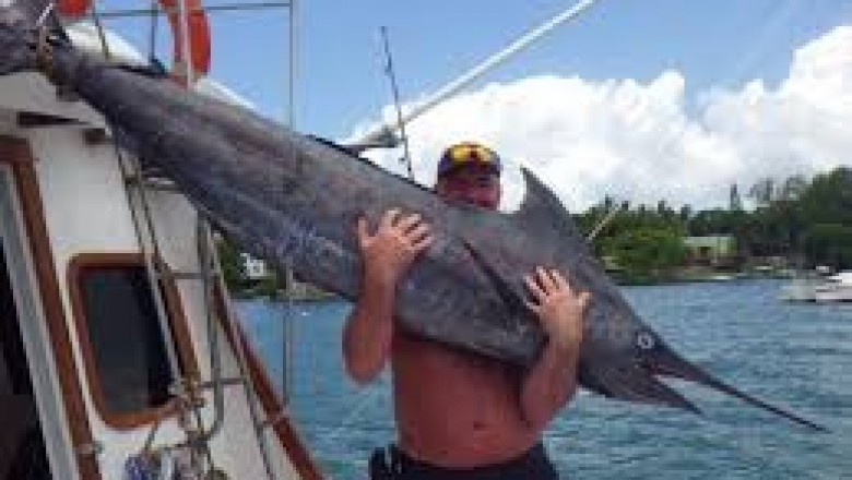 Game Fishing in Andaman