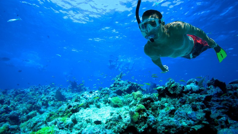 Scuba Diving in Andaman