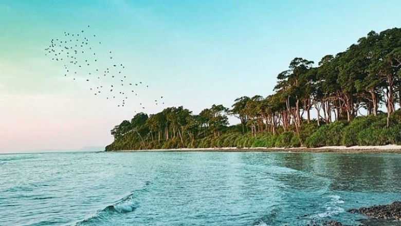 LTC Andaman Island Tour Packages