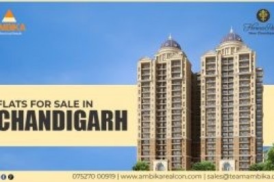 Property in chandigarh for sale