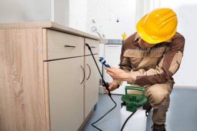 Pest control, Pest control Service In Delhi, Termite Control, Bed Bug Control In Delhi