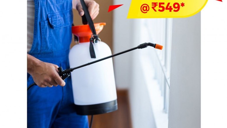 Pest Control In Delhi,Pest Control Services Noida,Termite Control Gurgaon,Bed Bug Treatment,Cockroach Control