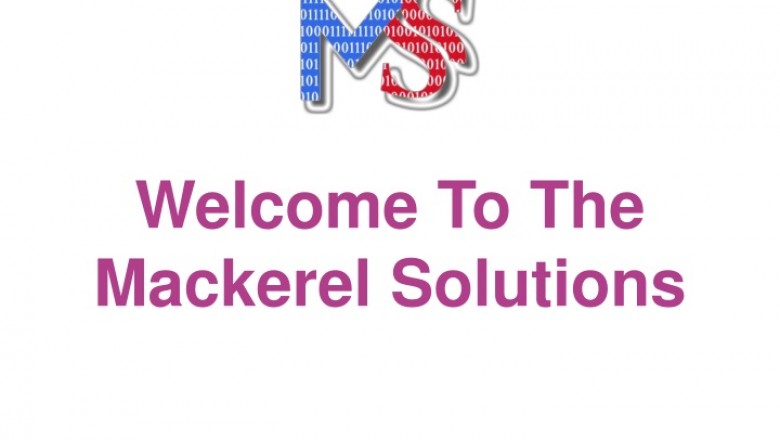 Web Development Services | Digital Marketing Company | Mackerel Solutions