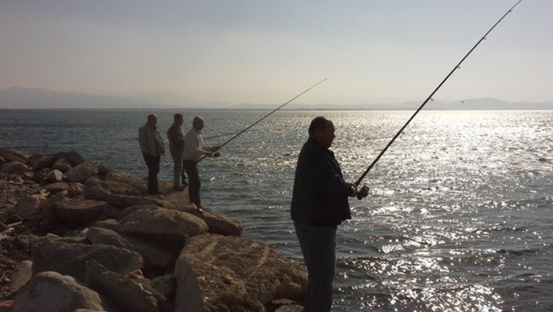 Fishing and Nautical Category - TuMomo