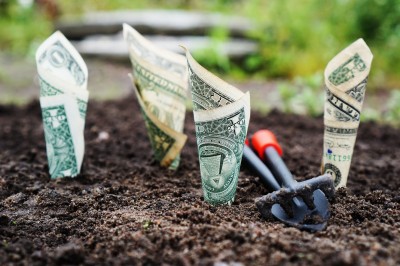 Financial Advisors: Top 6 Causes To Pick out Them