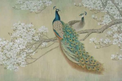 Peacock Wallpaper for Walls