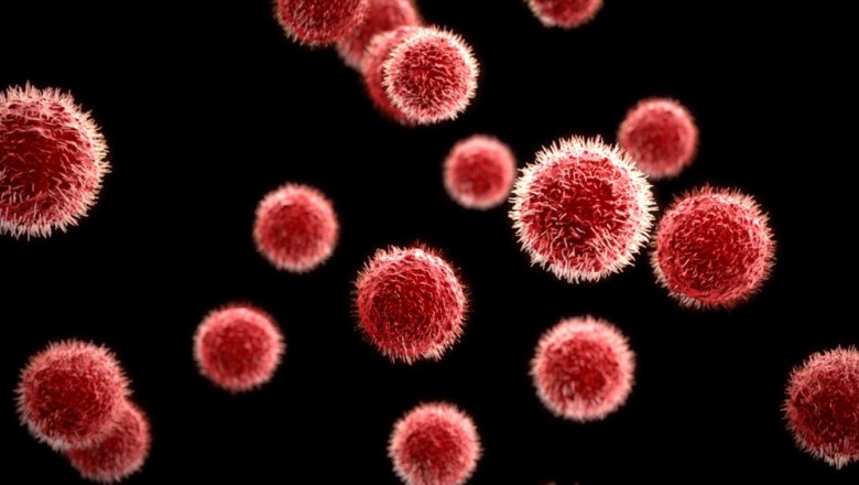 What Is Called As Virology?